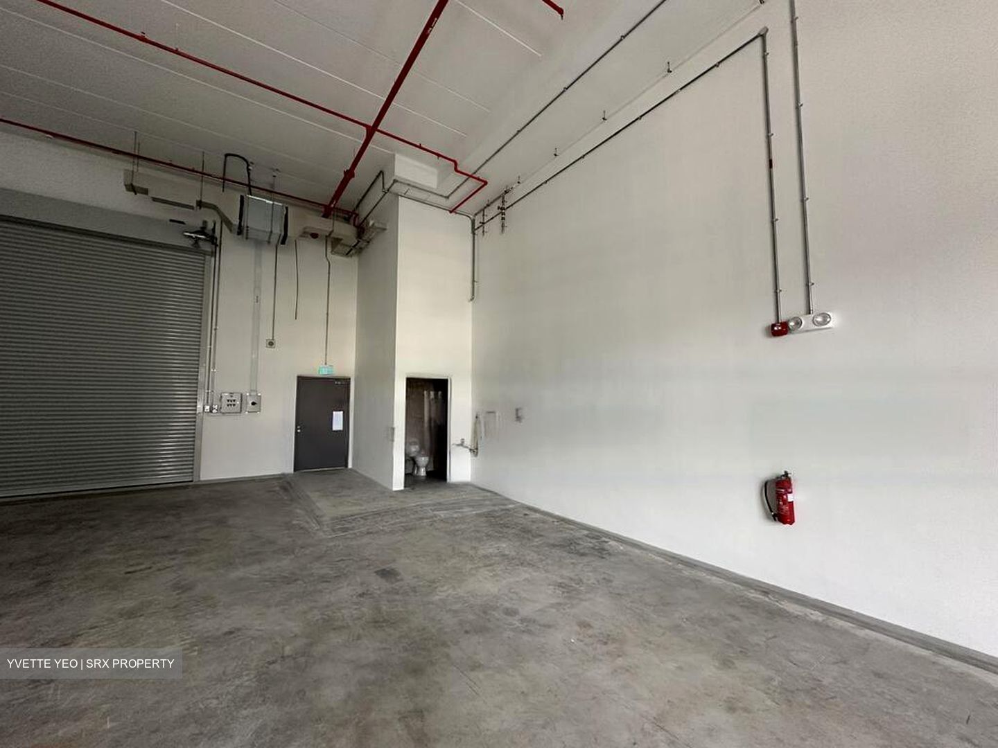 Ct Foodnex (D25), Factory #575905921